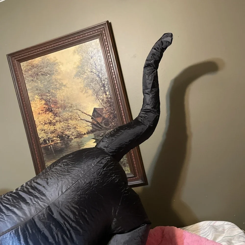 N/A rotating head****appears